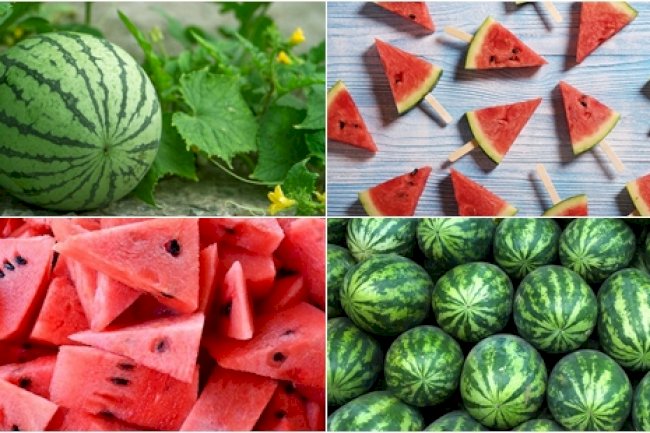 Bir Hafta İçerisinde 5 Kilo Verin: Mucizevi Karpuz Diyeti